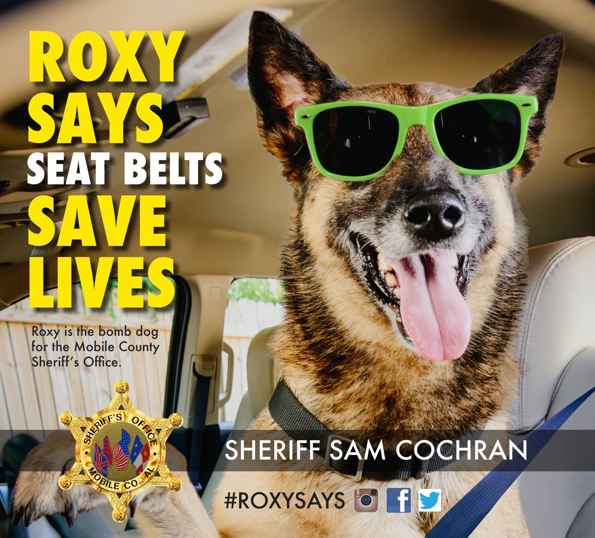 Seat Belts Save Lives Mobile County Sheriff's Office