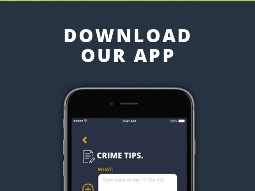 APP